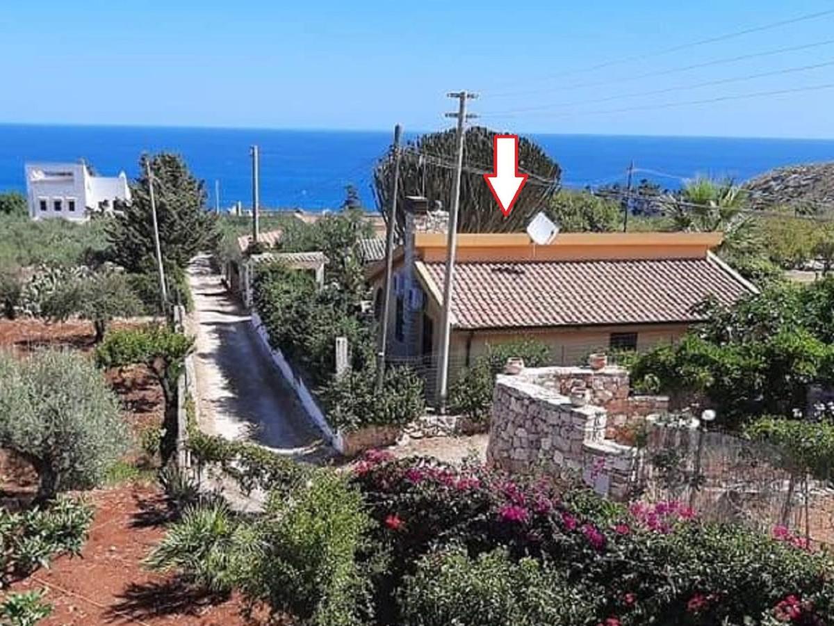 Villino Dei Gabbiani Villa Castellammare del Golfo Exteriör bild